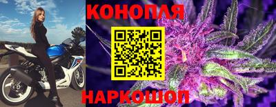 ГАЛЛЮЦИНОГЕННЫЕ ГРИБЫ Ковров